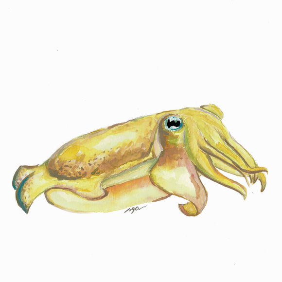 Cuttle Fish Print 8