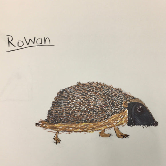 Realistic Drawing | Ages 4-8 Semester
