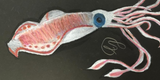 Realistic Drawing | Ages 4-8 Semester