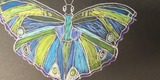 Realistic Drawing | Ages 9-Teen Semester