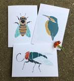 Fly | Blank Card